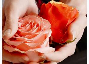 Farbtupfer Fotografie