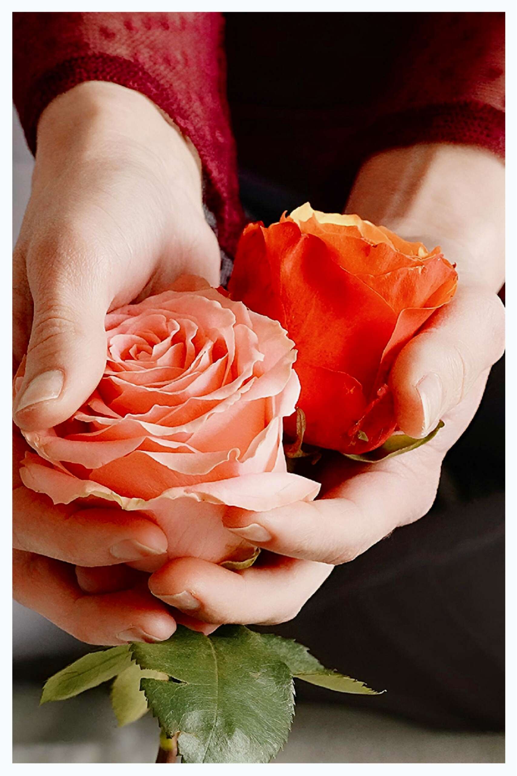 Farbtupfer Fotografie