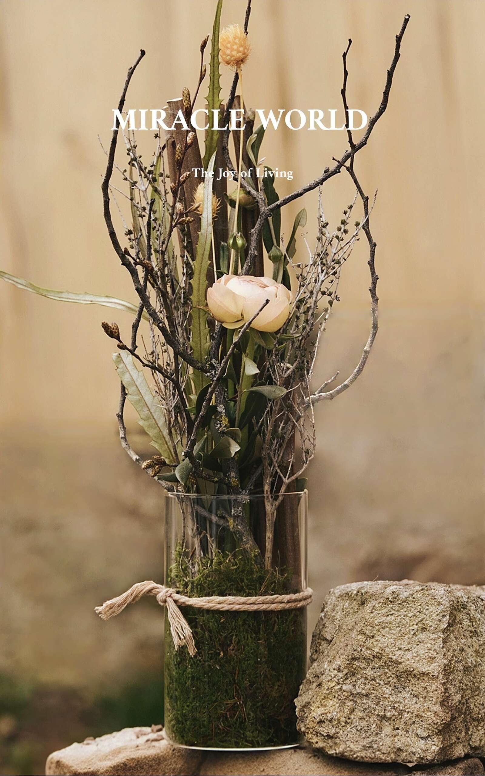 Farbtupfer - Fotografie