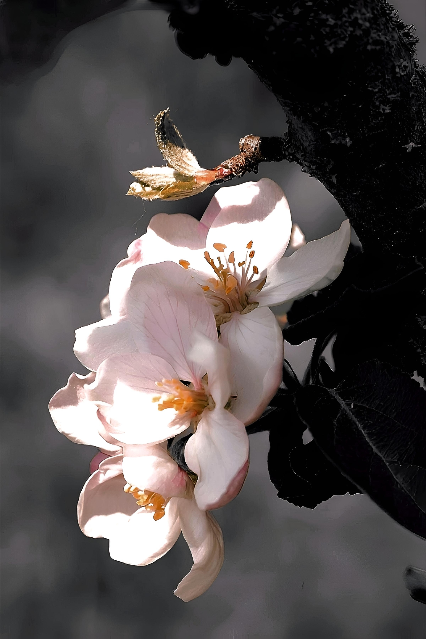 Farbtupfer Fotografie